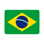 Brazil Services Icon